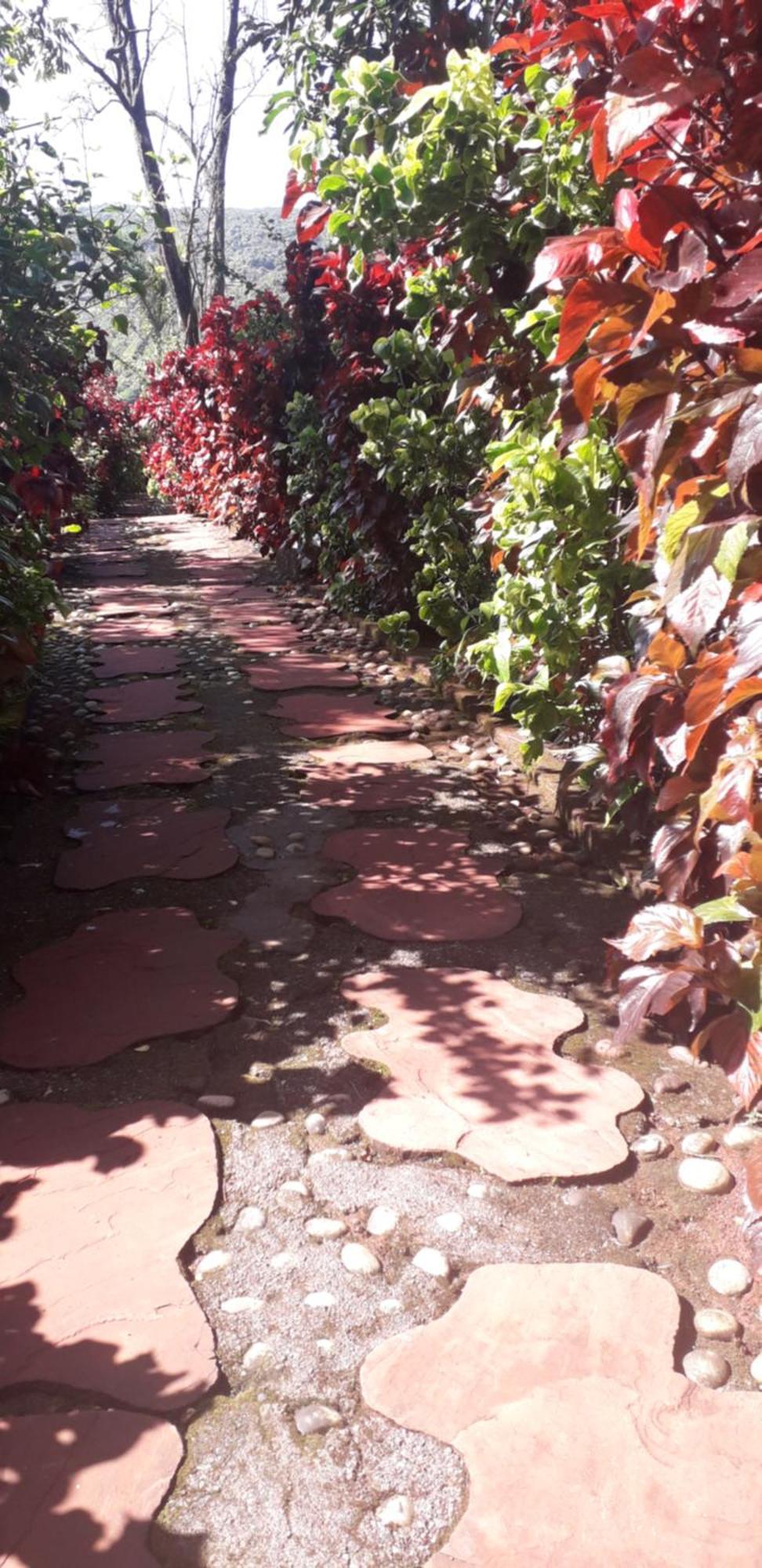 Strawberry Country Villa Mahābaleshwar Rom bilde